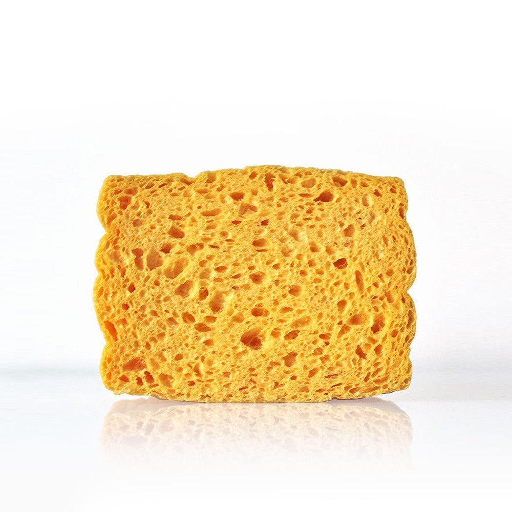 Pop Up Sponges