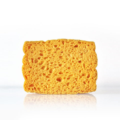 Pop Up Sponges